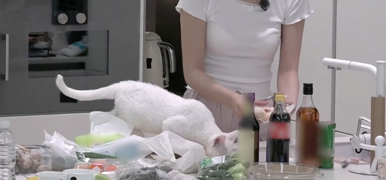 "Tiểu hoa đán" bị mẹ "chiều hư" đến mức chưa từng vào bếp còn bỏ bê con, ở bừa bãi nên bị chồng bỏ - 2