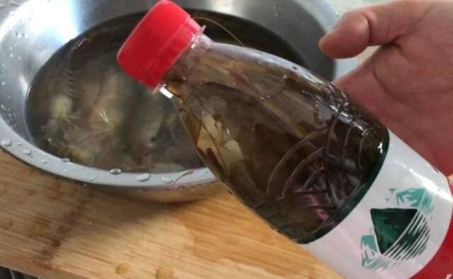 Bảo quản tôm đừng cho luôn vào tủ lạnh, thêm bước nữa để cả năm vẫn tươi ngon, không teo tóp hay khô bở - 3