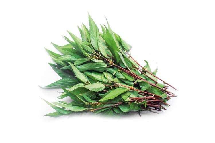 Cây rẻ tiền nấu lên nhớt nhớt nhưng bổ ngang nhân sâm, tiếc là nhiều người chê không ăn - 1