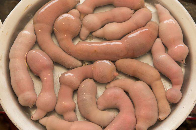 Đặc sản có tên "ngượng đỏ mặt", toàn thân không xương, ăn sống hay chín đều được, giá khoảng 200.000 đồng - 2