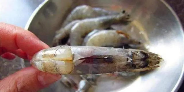 Khi ăn tôm to có cần thiết phải lấy chỉ tôm không? Hãy nghe xem ngư dân lâu năm nói gì - 2