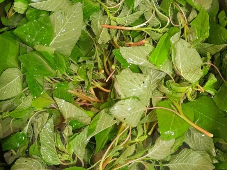 Lá này axit folic gấp 46 lần dưa chuột, giá rẻ bằng ½ rau muống, đem nấu canh được món ngon bổ rẻ - 1