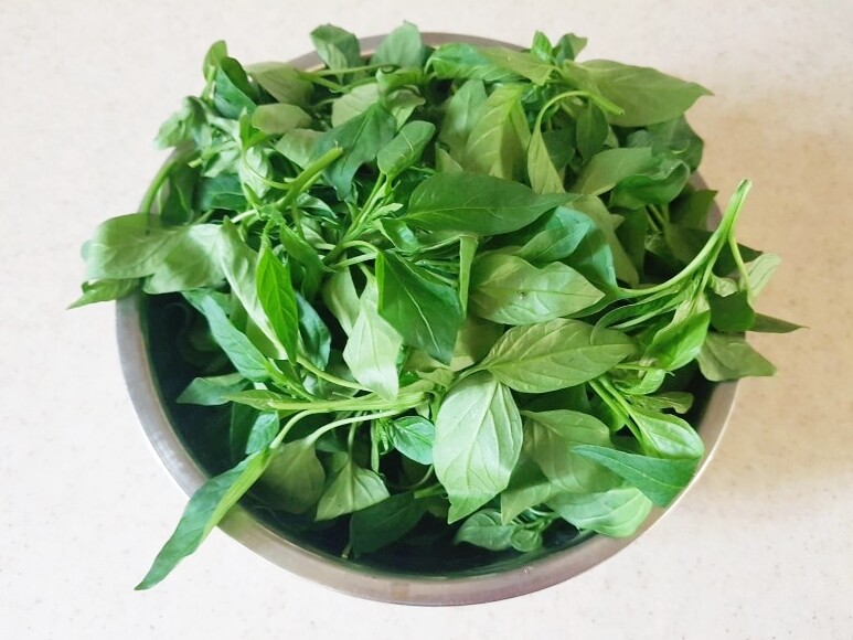 Lá này canxi gấp 2 lần sữa, đem xào rất ngon, giúp bổ tỳ, tiêu sưng nhưng ít người biết ăn - 1