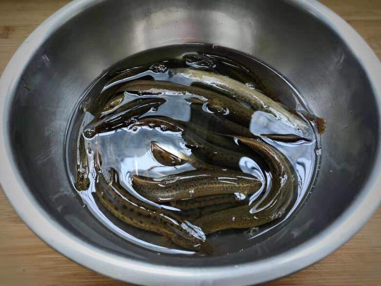 Loại cá dân dã được coi là "nhân sâm dưới nước" vừa giàu đạm lại nhiều canxi, nấu được đủ món ngon - 1