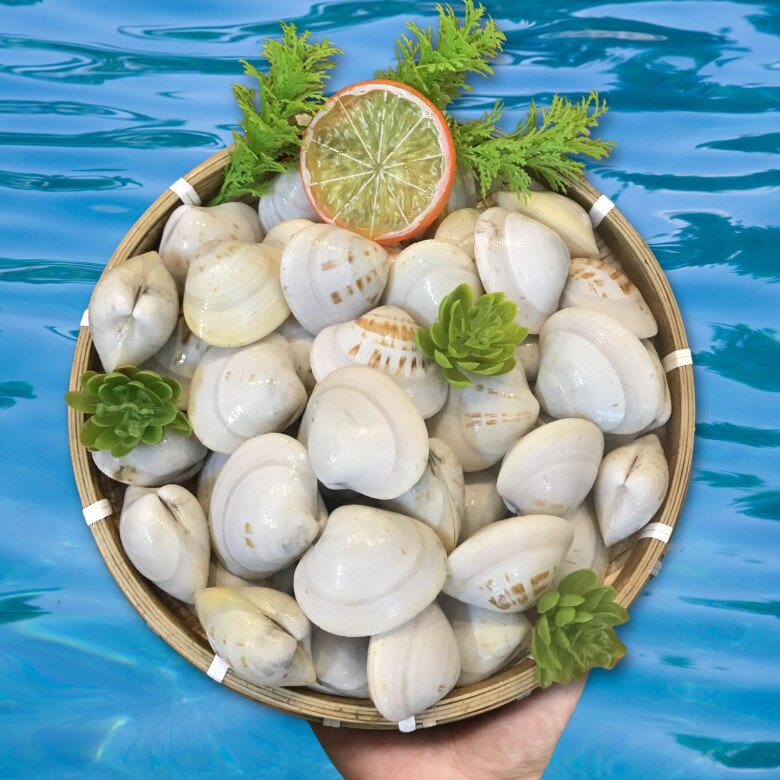 Ngao mua về không kịp ăn hết, nhớ làm điều này ngao sẽ tươi lâu, không teo quắt mà vẫn mọng ngọt như mới mua về - 3