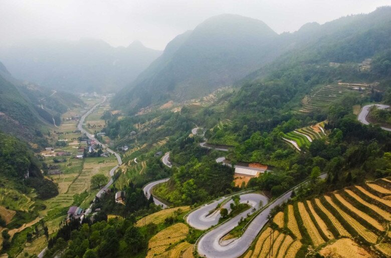 Tỉnh duy nhất Việt Nam có 43.000ha trồng loài hoa quý &#34;so kè&#34; top đầu thế giới với Trung Quốc, cho vào món ăn thơm nức - 5