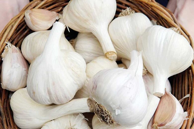 Tỏi bán đầy chợ nhưng có 4 củ này đừng mua, đầu bếp nhắc "trời nồm ẩm" này nhớ làm ngay nhé! - 2