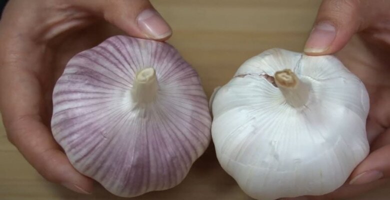Tỏi bán đầy chợ nhưng có 4 củ này đừng mua, đầu bếp nhắc "trời nồm ẩm" này nhớ làm ngay nhé! - 3