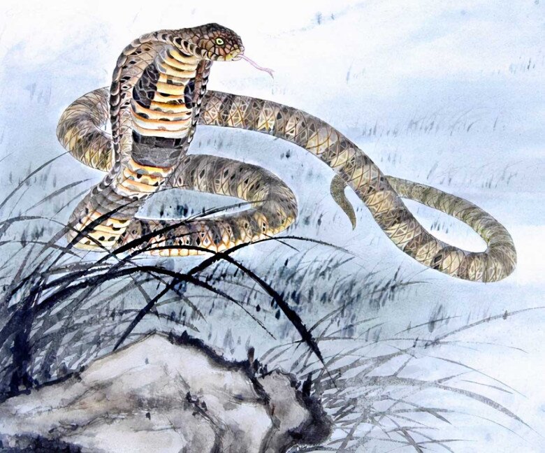 4 con giáp vừa giàu vừa may, có cuộc sống đáng ao ước sau tuổi 45 - 2