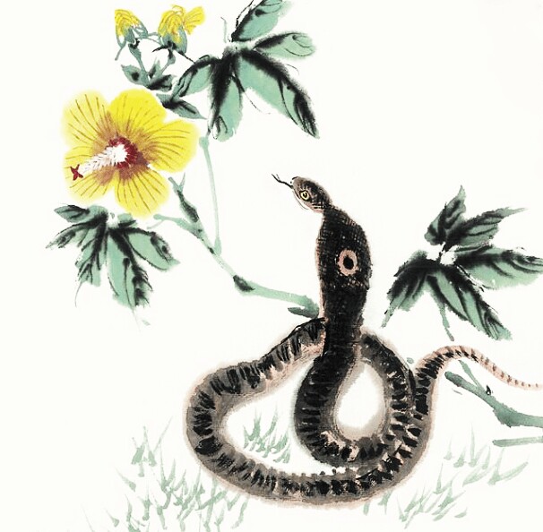 Tử vi tuần mới 29/12-4/1: Dần tài lộc rực rỡ, Sửu chớ vội vàng - 2