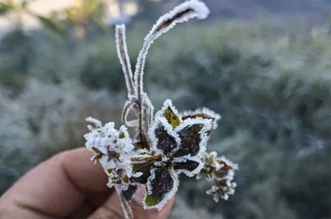 Tin tức 24h: Đợt không khí lạnh mới sắp về, hôm nào Hà Nội mưa và nhiệt độ giảm ra sao? - 4