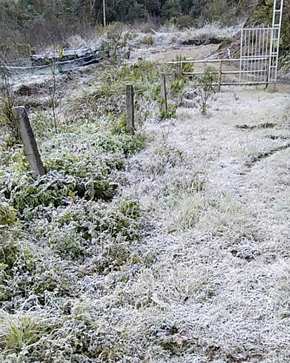 Tin tức 24h: Đợt không khí lạnh mới sắp về, hôm nào Hà Nội mưa và nhiệt độ giảm ra sao? - 3