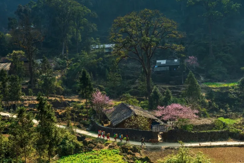 Có gì tại điểm trekking đẹp nhất Tuyên Quang vừa thắng giải Du lịch Thế giới? Địa hình hiểm trở, thách thức dân phượt - 5