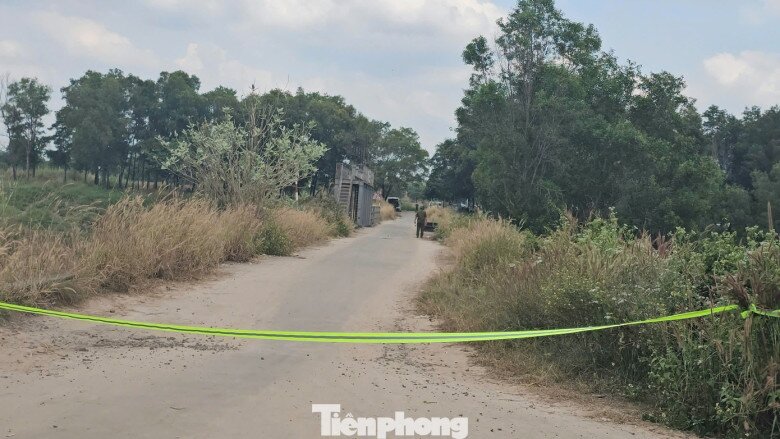 Tin tức 24h: Miền Bắc có thể đón rét đậm đúng dịp Noel, Hà Nội sẽ giảm bao nhiêu độ? - 4