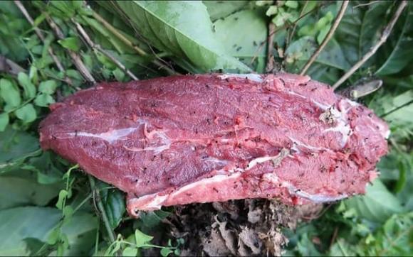 6 đặc sản nức tiếng ở Phú Thọ: Có món thèm mấy cũng phải chờ vài tháng mới được ăn, có món chỉ "nhìn thôi đã sợ" - 2