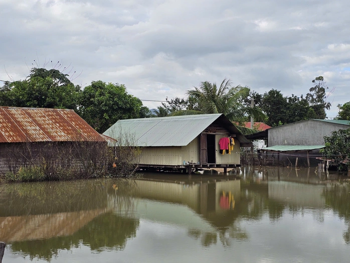 Tin tức 24h: Hà Nội trời ấm lên, nhiệt độ cao nhất là bao nhiêu trước đợt không khí lạnh mới? - 8