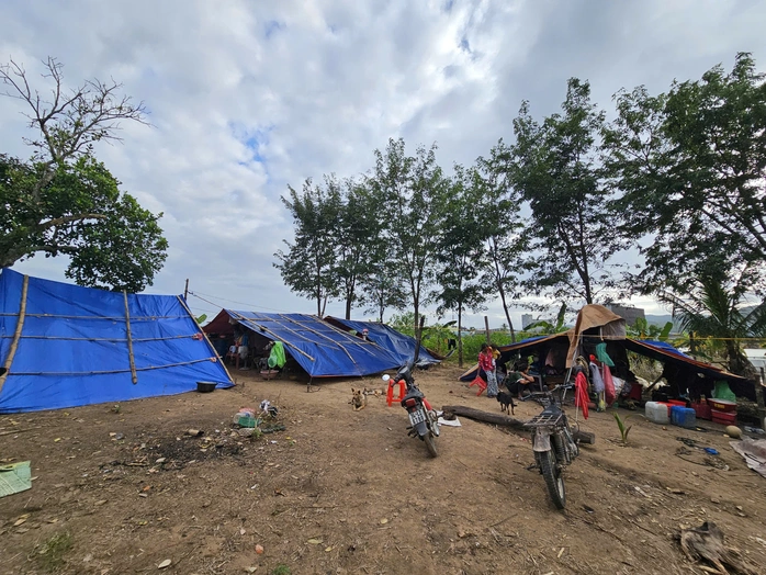 Tin tức 24h: Hà Nội trời ấm lên, nhiệt độ cao nhất là bao nhiêu trước đợt không khí lạnh mới? - 7