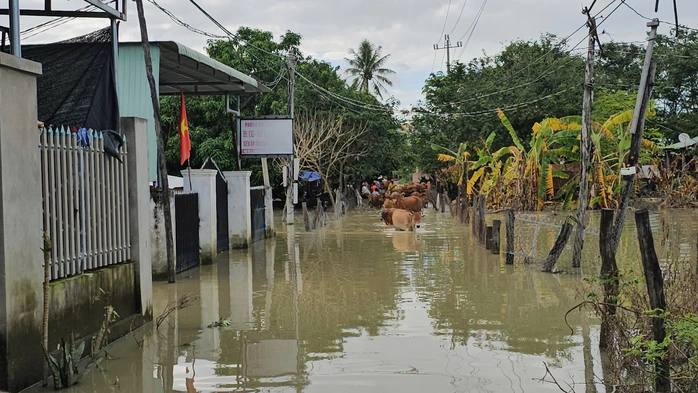 Tin tức 24h: Hà Nội trời ấm lên, nhiệt độ cao nhất là bao nhiêu trước đợt không khí lạnh mới? - 5