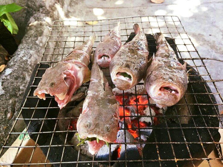 Loài cá có tên nghe đã thấy &#34;sang chảnh&#34; là đặc sản xưa chỉ để tiến vua, ngoại hình xấu &#34;đau đớn&#34; nhưng vị ngon vượt trội - 4