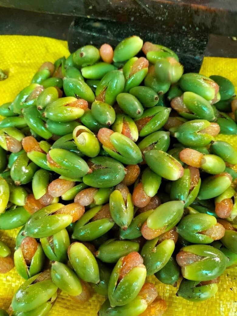 Loại quả xưa chỉ trồng làm cảnh rụng bỏ đi, nay chế biến thành đặc sản giá tới 200.000đ/kg cũng khó mà mua - 2