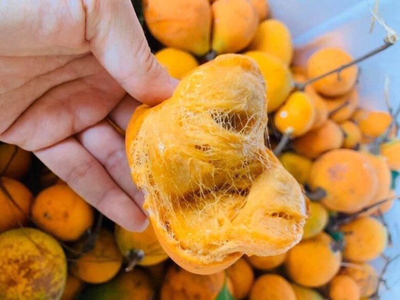 Loại quả xưa rụng thối gốc không ai nhặt, giá rẻ như cho nay thành đặc sản thành phố, 150.000 đồng/kg vẫn "cháy hàng" - 4