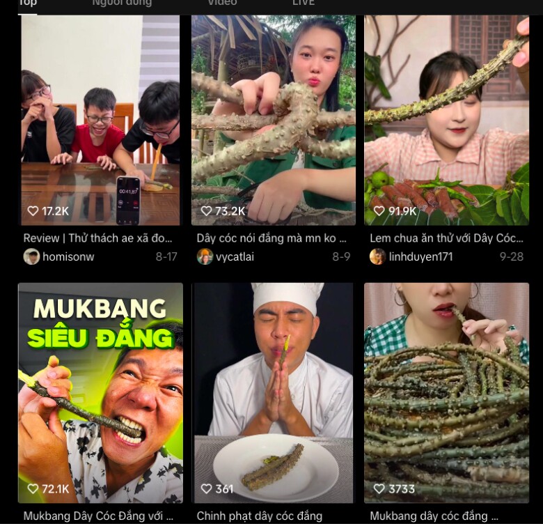Hàng loạt TikToker thử thách ăn món &#34;đắng nhất Việt Nam&#34;: Hầu hết đều nhăn mặt và nhổ bỏ ngay lập tức - 1