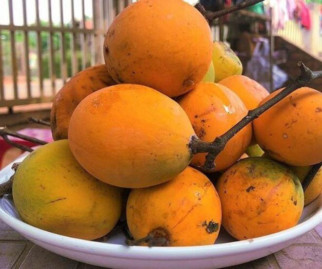 Loại quả xưa rụng thối gốc không ai nhặt, giá rẻ như cho nay thành đặc sản thành phố, 150.000 đồng/kg vẫn "cháy hàng" - 1