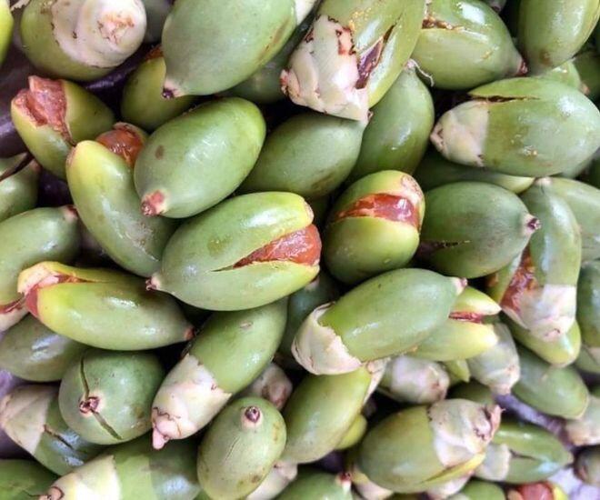 Loại quả xưa chỉ trồng làm cảnh rụng bỏ đi, nay chế biến thành đặc sản giá tới 200.000đ/kg cũng khó mà mua - 1