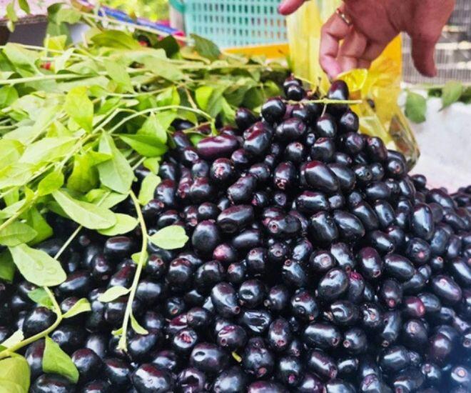 Quả mọc dại trên rừng trông đẹp như nho, ăn vào miệng đen xì mà càng ăn càng "cuốn", bán đến 130.000đ/kg chị em vẫn lùng mua - 1