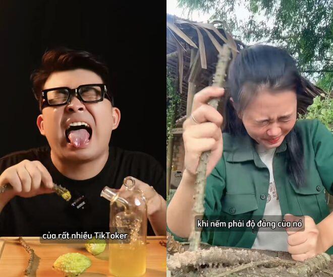 Hàng loạt TikToker thử thách ăn món &#34;đắng nhất Việt Nam&#34;: Hầu hết đều nhăn mặt và nhổ bỏ ngay lập tức - 2