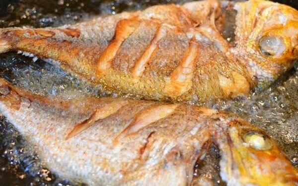 Loại cá quý hiếm ở Việt Nam, là đặc sản được ưa chuộng trong nhà hàng, nấu món gì cũng ngon đỉnh cao - 6