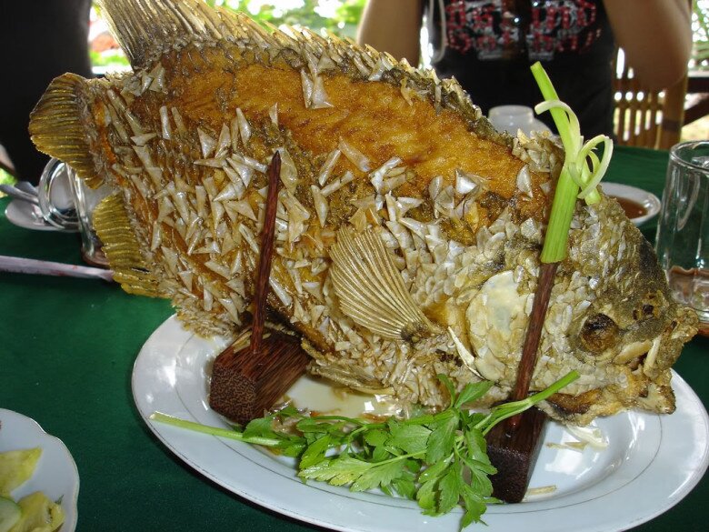 Loài cá có "tai" lạ là đặc sản nổi tiếng miền Tây, đem làm món nhìn đã "nổi da gà" nhưng lại là tuyệt đỉnh ẩm thực - 3