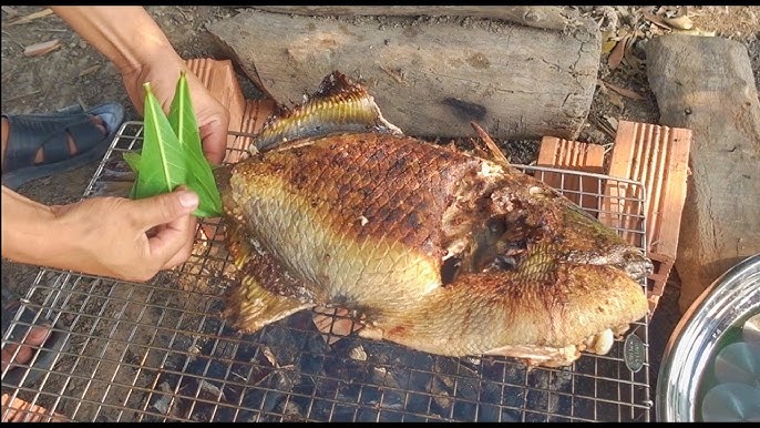 Loài cá có tên lạ &#34;răng hô&#34; xưa &#34;vô danh&#34; không ai biết, nay thành đặc sản quý hơn vàng nhờ vị ngon hơn cả thịt gà - 4