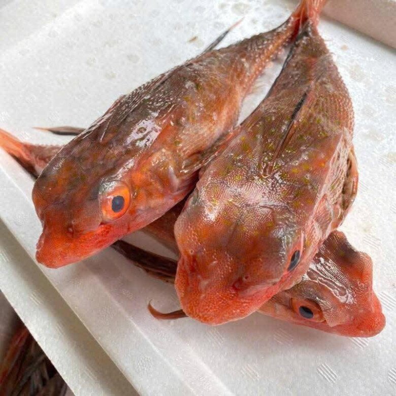 Loài cá có tên như loài bò sát mình toàn xương xưa chỉ cho gia súc ăn, nay nướng lên thơm nức mũi thành đặc sản &#34;tuyệt đỉnh&#34; - 2