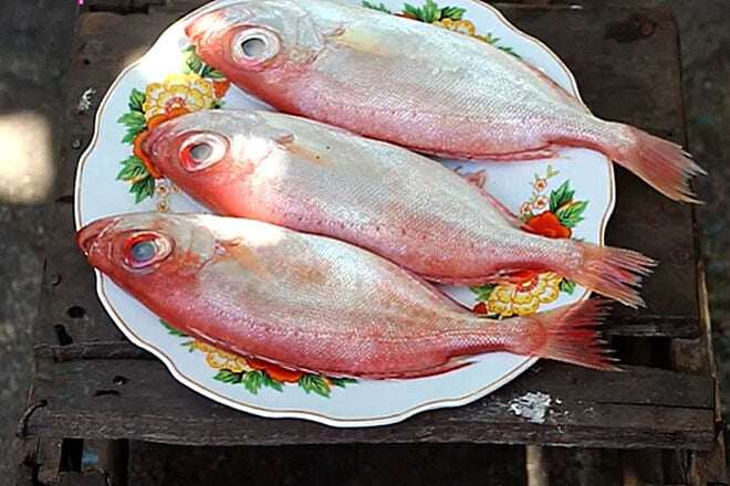 Loài cá có tên như món &#34;khoái khẩu&#34; của các cụ lại là đặc sản nức tiếng miền Tây, 300.000đ/kg vẫn &#34;cháy hàng&#34; - 1