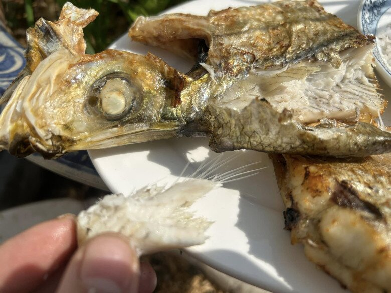 Loài cá được xem là "tứ quý ngư" ở Việt Nam, xương nhiều nhưng thịt ngọt đậm khó cưỡng, dân thành phố ưa chuộng - 4