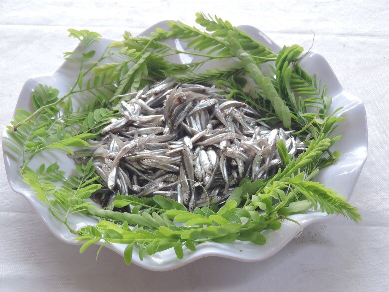 Loài cá &#34;nhà nghèo&#34; là hương vị tuổi thơ của người miền Trung, đem kho chấm rau luộc được ví với &#34;ân huệ của đất trời&#34; - 3