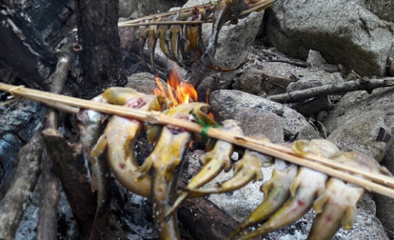 Loài cá tên nghe đã thấy khó ăn là đặc sản được ví như &#34;nhân sâm&#34; dưới nước, chỉ dùng để đãi khách quý vì siêu hiếm - 4