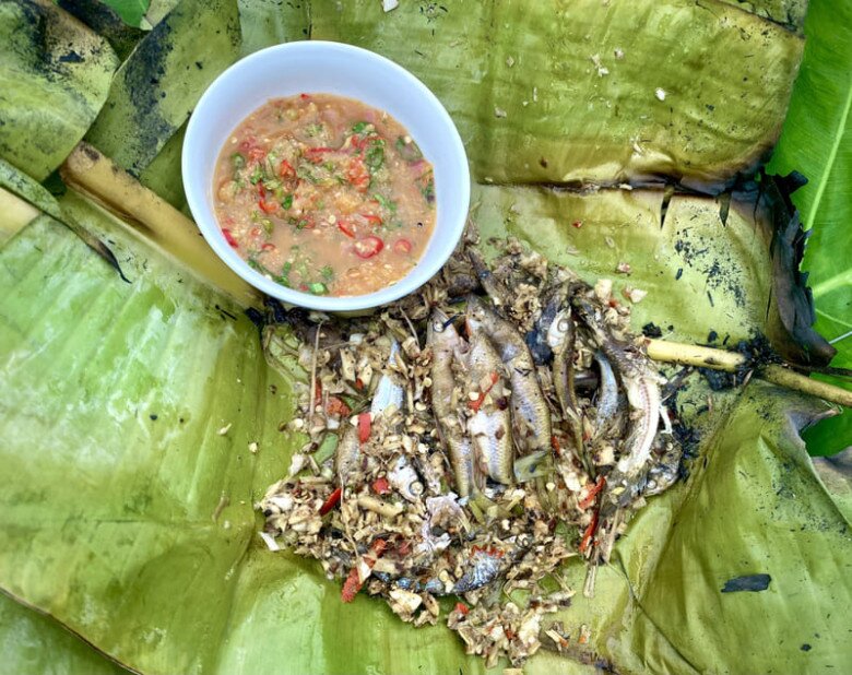 Loài cá tên nghe đã thấy khó ăn là đặc sản được ví như &#34;nhân sâm&#34; dưới nước, chỉ dùng để đãi khách quý vì siêu hiếm - 3