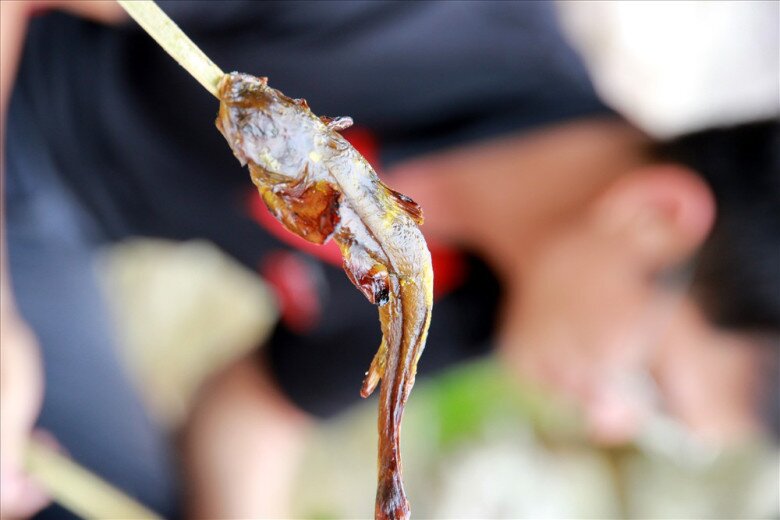 Loài cá tên nghe đã thấy khó ăn là đặc sản được ví như &#34;nhân sâm&#34; dưới nước, chỉ dùng để đãi khách quý vì siêu hiếm - 2