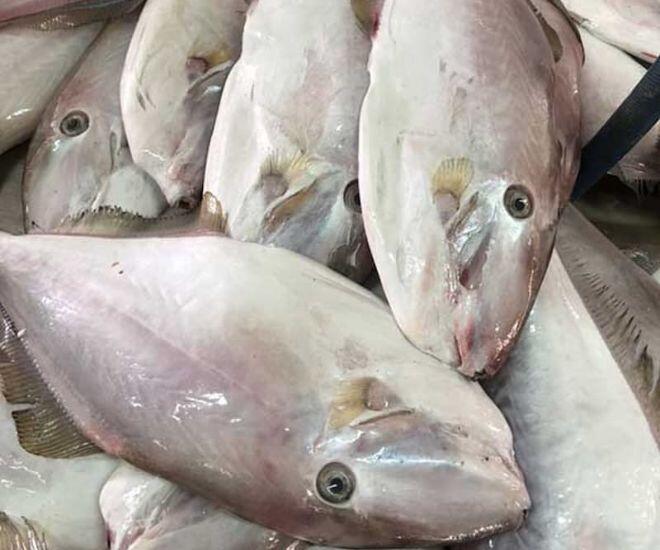 Loài cá tên như thú 4 chân xưa chỉ &#34;nhà nghèo&#34; mới ăn, nay đem phơi khô lại được giới trẻ cực thích, bán 250.000 đồng/kg - 1
