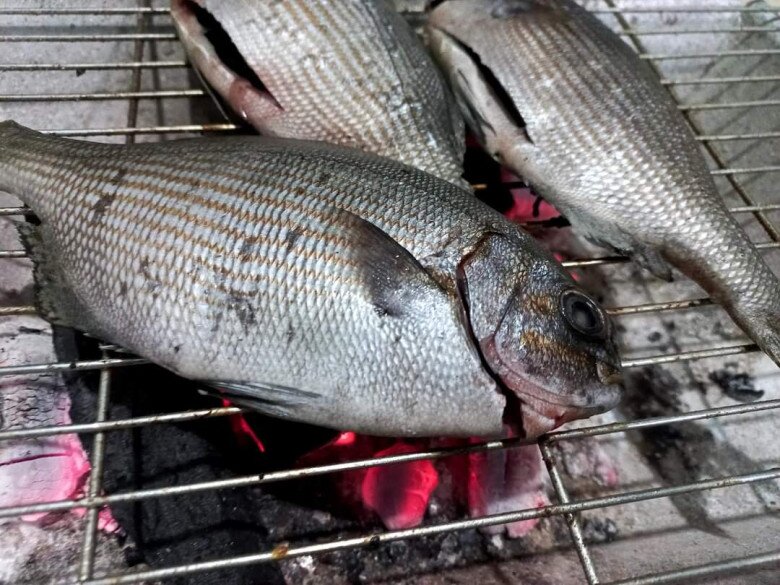 Đảo Lý Sơn có loài cá “thoắt ẩn thoắt hiện” mang cái tên nghe &#34;rợn tóc gáy&#34; cực khó săn, có tiền chưa chắc mua được - 4