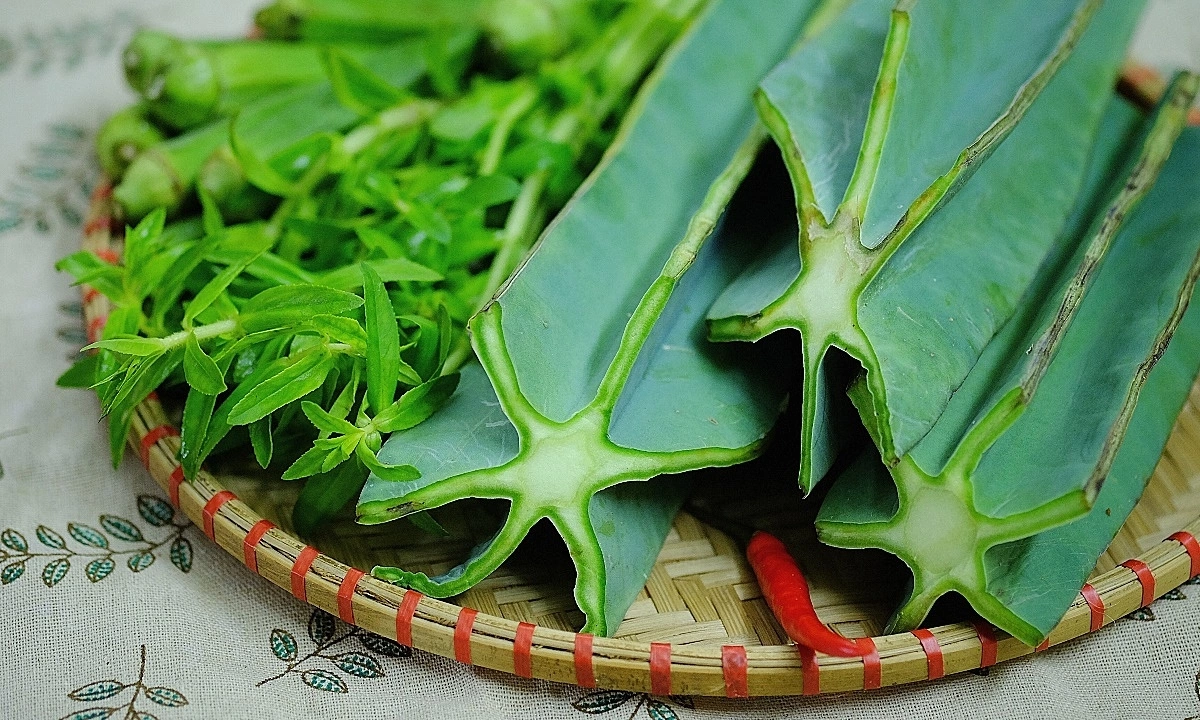 Loại cây tưởng không ăn được đem nấu canh thành đặc sản chỉ có ở Quảng Trị, xưa dành cho "nhà nghèo" nay ai cũng thích mê - 2