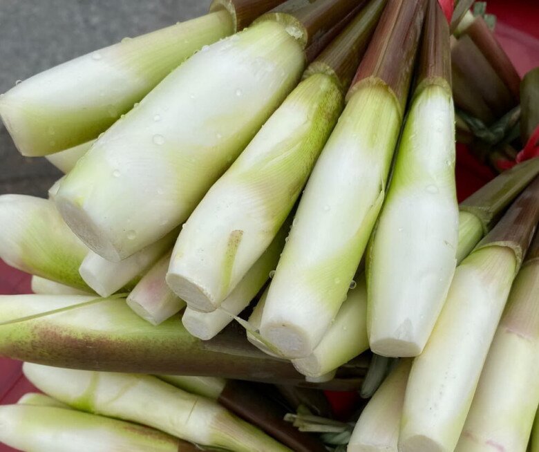 Loại củ mọc từ dưới bùn xưa chỉ người Ninh Bình ăn nay thành đặc sản chị em &#34;săn lùng&#34;, mỗi năm chỉ xuất hiện vài tuần là hết - 3