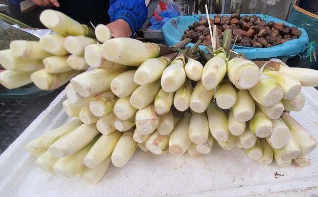 Loại củ mọc từ dưới bùn xưa chỉ người Ninh Bình ăn nay thành đặc sản chị em &#34;săn lùng&#34;, mỗi năm chỉ xuất hiện vài tuần là hết - 2