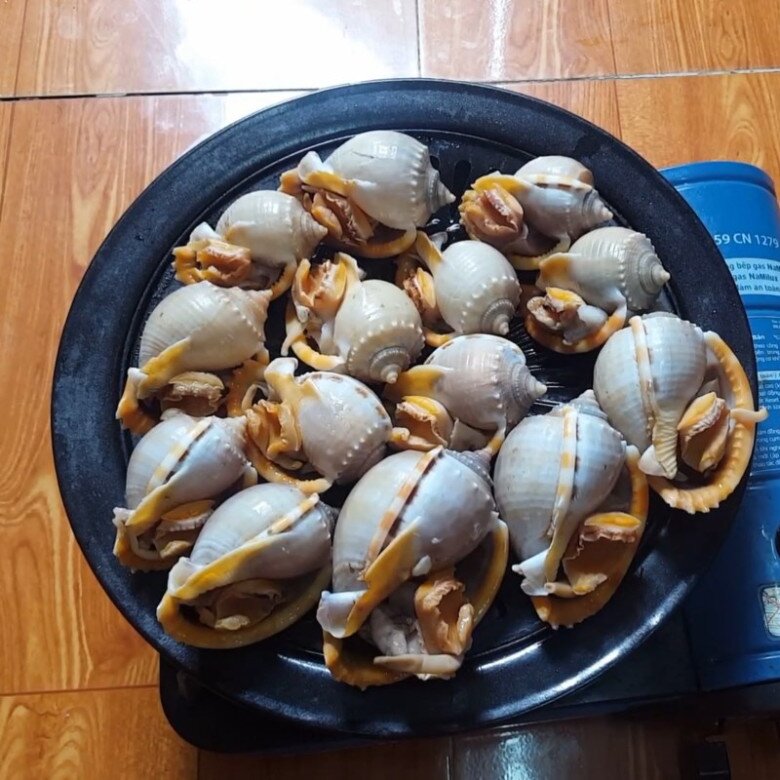 Loài ốc tên nghe đã thấy &#34;bốc mùi&#34; xưa chẳng ai thèm ăn, nay thành đặc sản không thể thiếu ở nhà hàng, giá đến 270.000đ/kg - 4