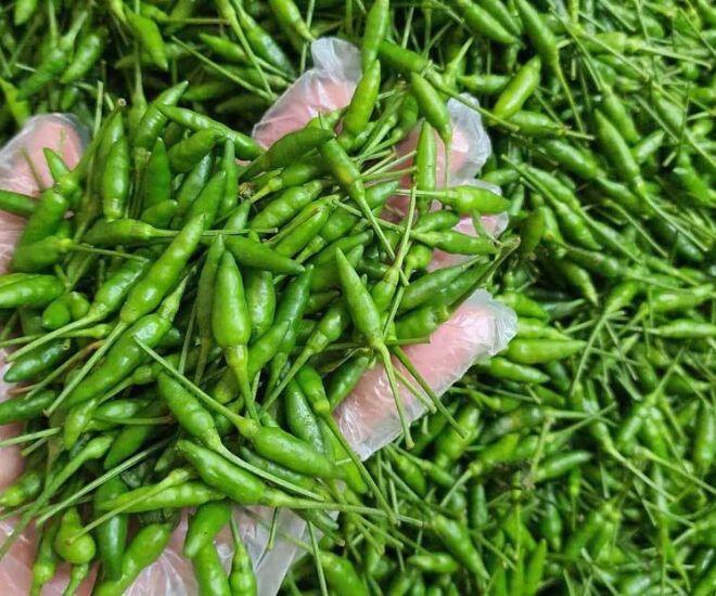 Loại quả bé tí xưa mọc dại trên rừng chẳng ai hái, nay "lên đời" được chị em săn lùng dù giá đến 1 triệu/kg - 1