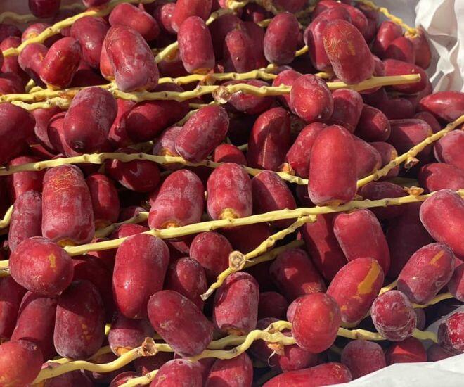 Loại quả căng mọng "đắt đỏ" nhất Việt Nam, nhìn vừa quen vừa lạ giá tận 700.000 đồng/kg vẫn "cháy hàng" - 1