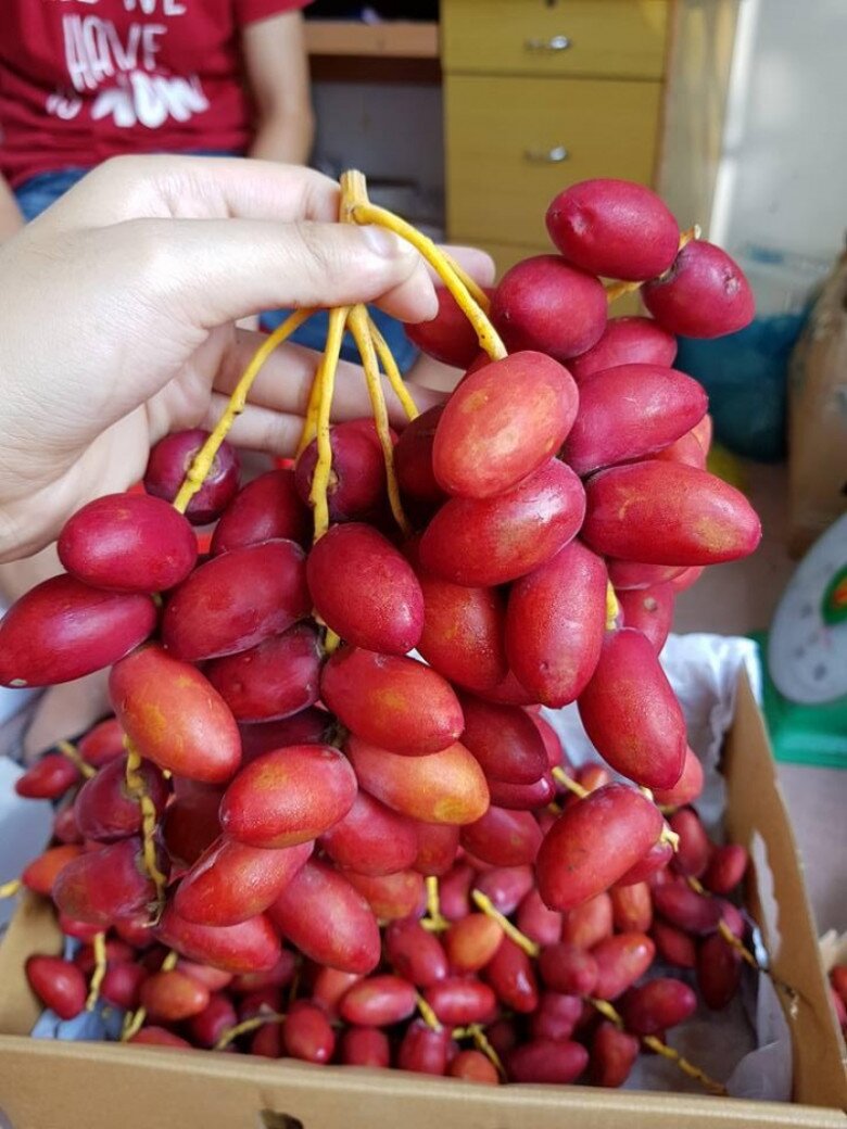 Loại quả căng mọng "đắt đỏ" nhất Việt Nam, nhìn vừa quen vừa lạ giá tận 700.000 đồng/kg vẫn "cháy hàng" - 2