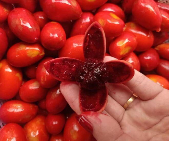 Loại quả có tên nghe rợn người là đặc sản chỉ Quảng Ninh mới có, giá 150.000đ/kg vẫn "cháy hàng" vì siêu hiếm - 1